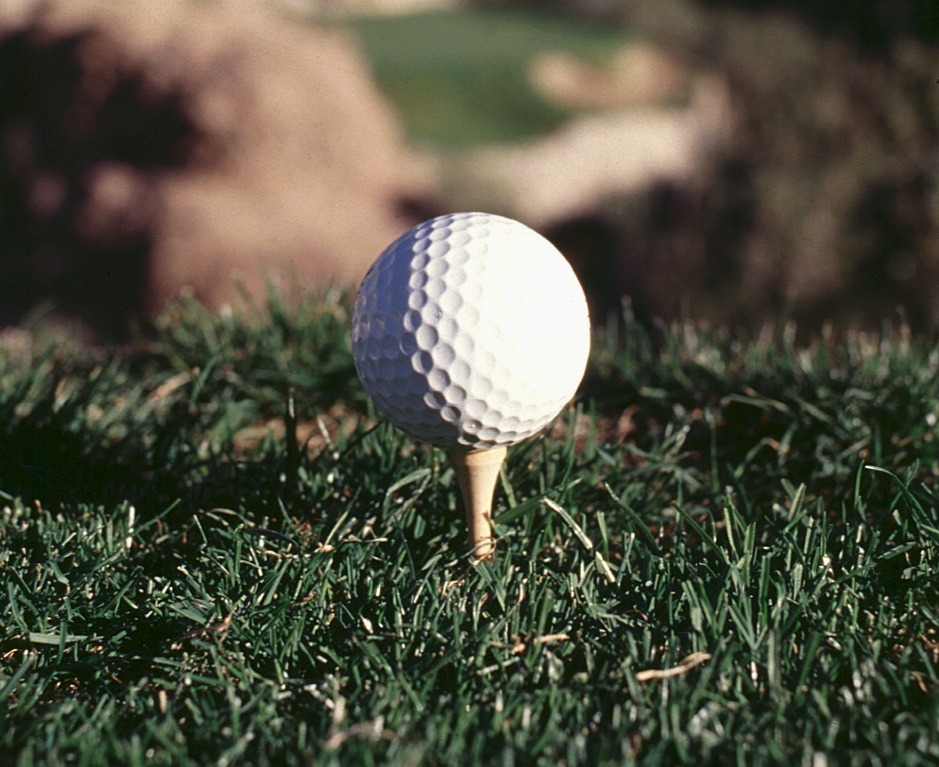 [golf.jpg]