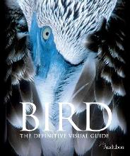 [bird+book.jpg]