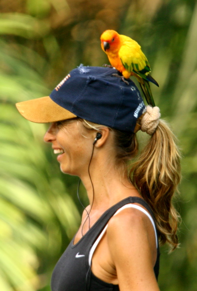 [girl+with+parrot,+LindenDr+0306+-+2.jpg]