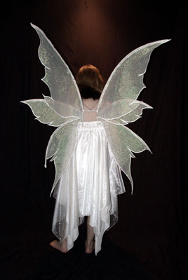 [fairy+with+wings.jpg]