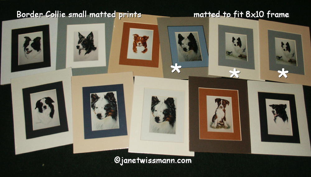 [border+collie+small+matted+prints.JPG]