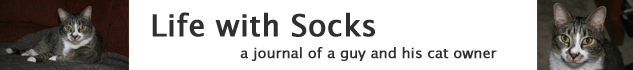 Life with Socks