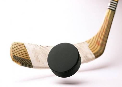 [Hockey-Stick-Puck.jpg]