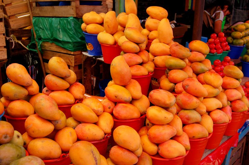 [mangoes+in+market+sm.jpg]