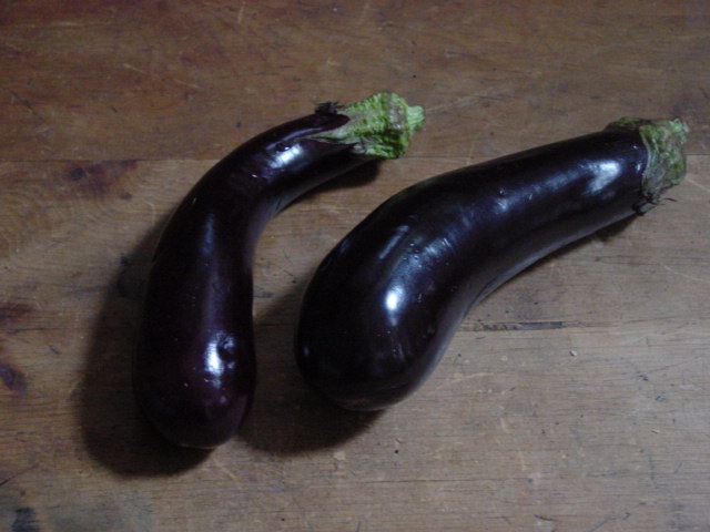 [eggplants.JPG]