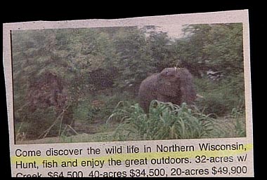 [Wildlife+in+Northern+Wisconsin.jpg]