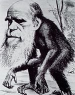 [Darwin+ape.jpg]