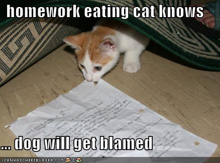 [homework-eating-cat.jpg]