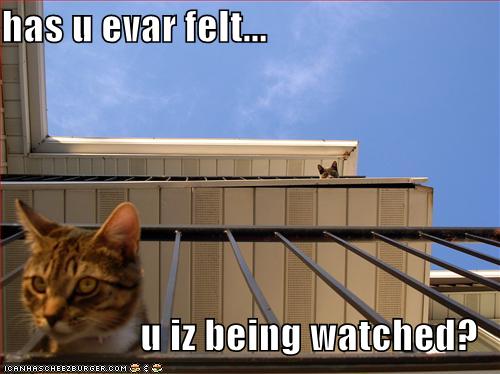 [being+watched.jpg]