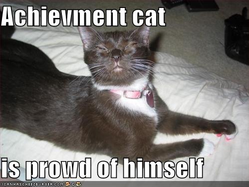 [achievement+cat.jpg]