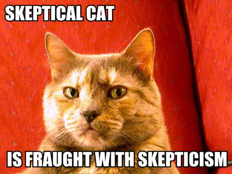 [skeptical-cat-is-fraught-with-skepticism.jpg]