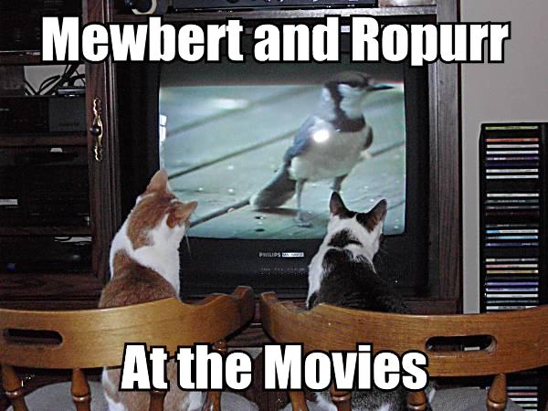 [mewbert-and-ropurr-at-the-movies.jpg]