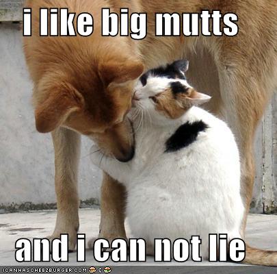 [i+like+big+mutts.jpg]