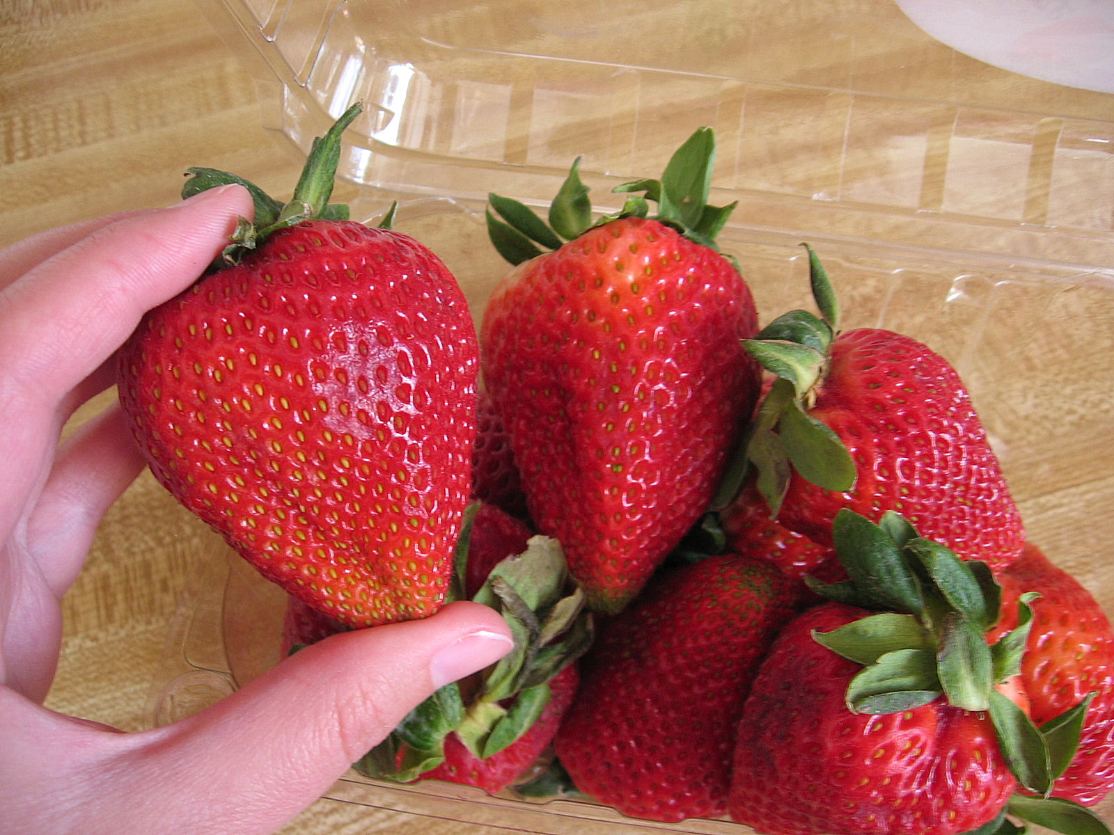 [BIG+Strawberries.jpg]
