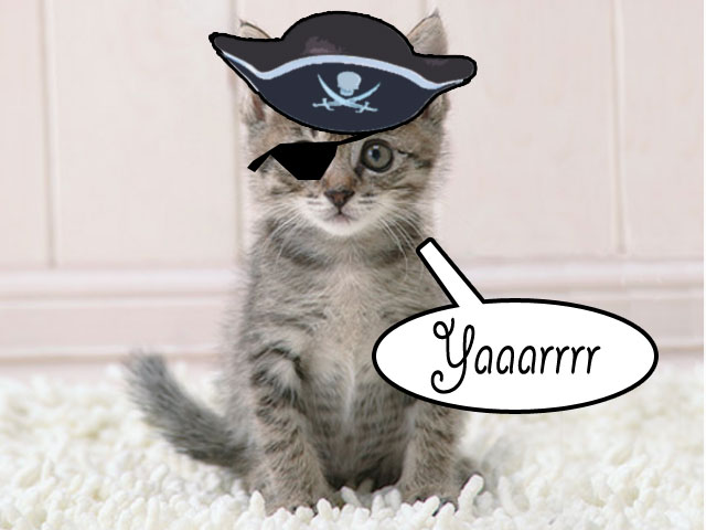 [captain-kitty.jpg]