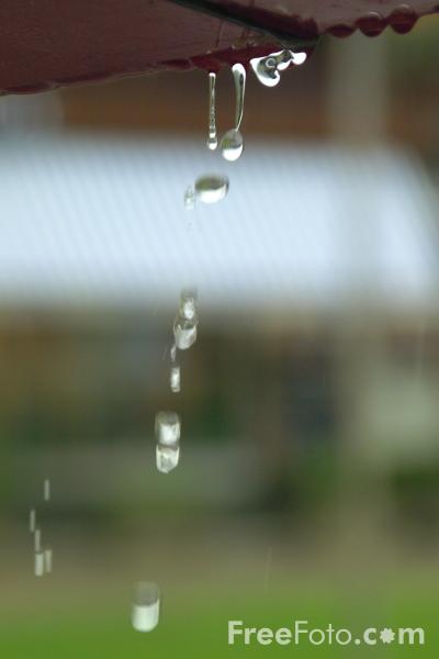 [Rain_web.jpg]