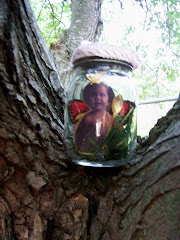 My Jar Fairy
