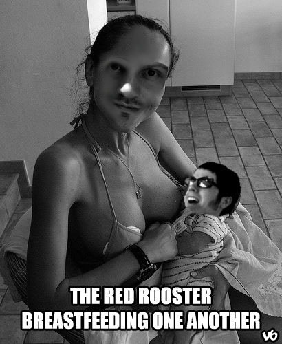 [rooster+breastfeeding.JPG]