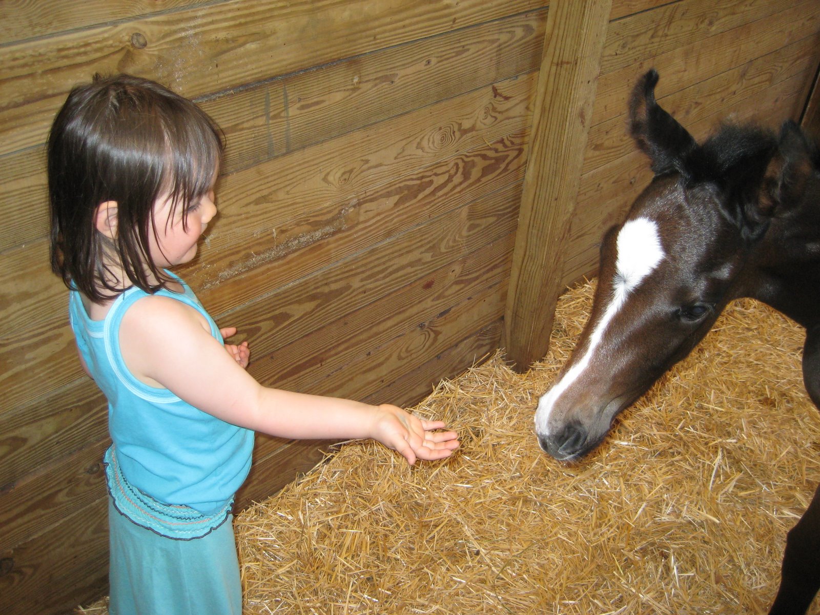 Esther with the newest baby on the farm: Foal Asia!