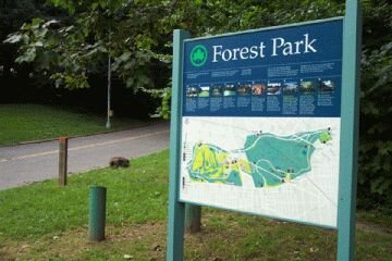 [forest+park.bmp]