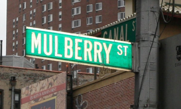 [mulberry-street-sign.jpg]
