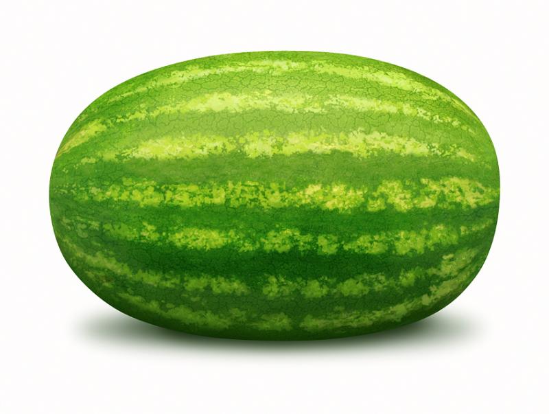[26436921_Watermelon.jpg]