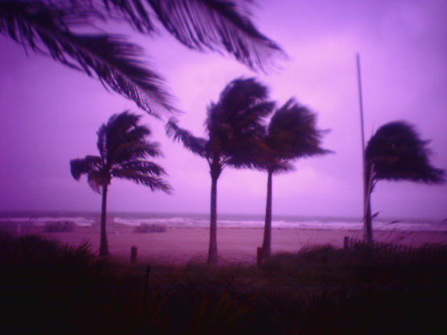 [purpleStorm.jpg]