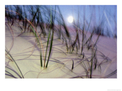[100766~A-View-of-a-Full-Moon-Rising-Above-a-Sand-Dune-Posters.jpg]