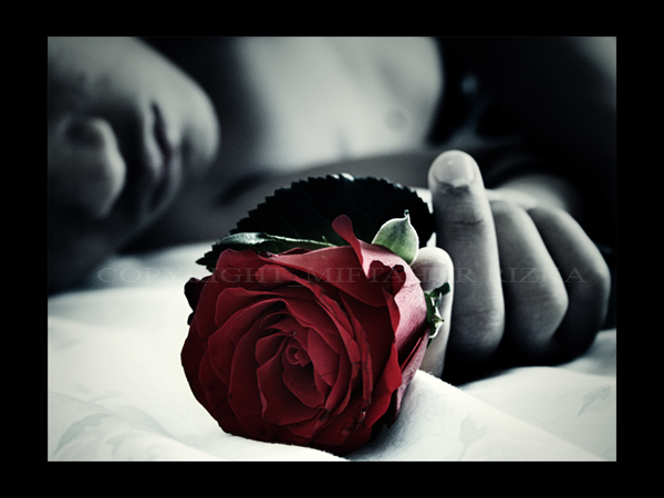 [Roses_for_the_dead_II__by_frixin.jpg]