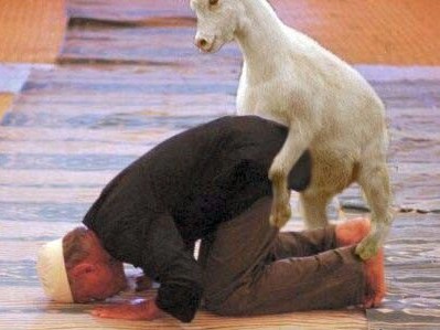 [islam+goat.jpg]