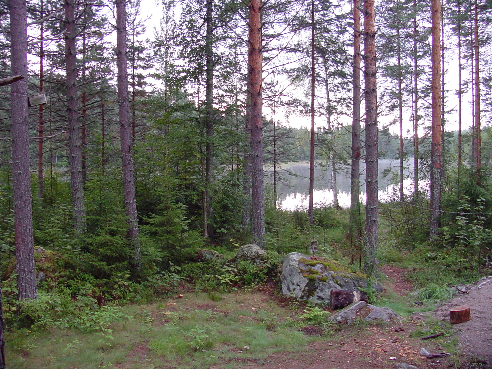 [Finland-Mikkeli-Hirvensalmi-Metsalampi-Pond-trees-chopping-block-early-morning-before-departure-DHD.jpg]