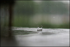 [rain1.jpg]