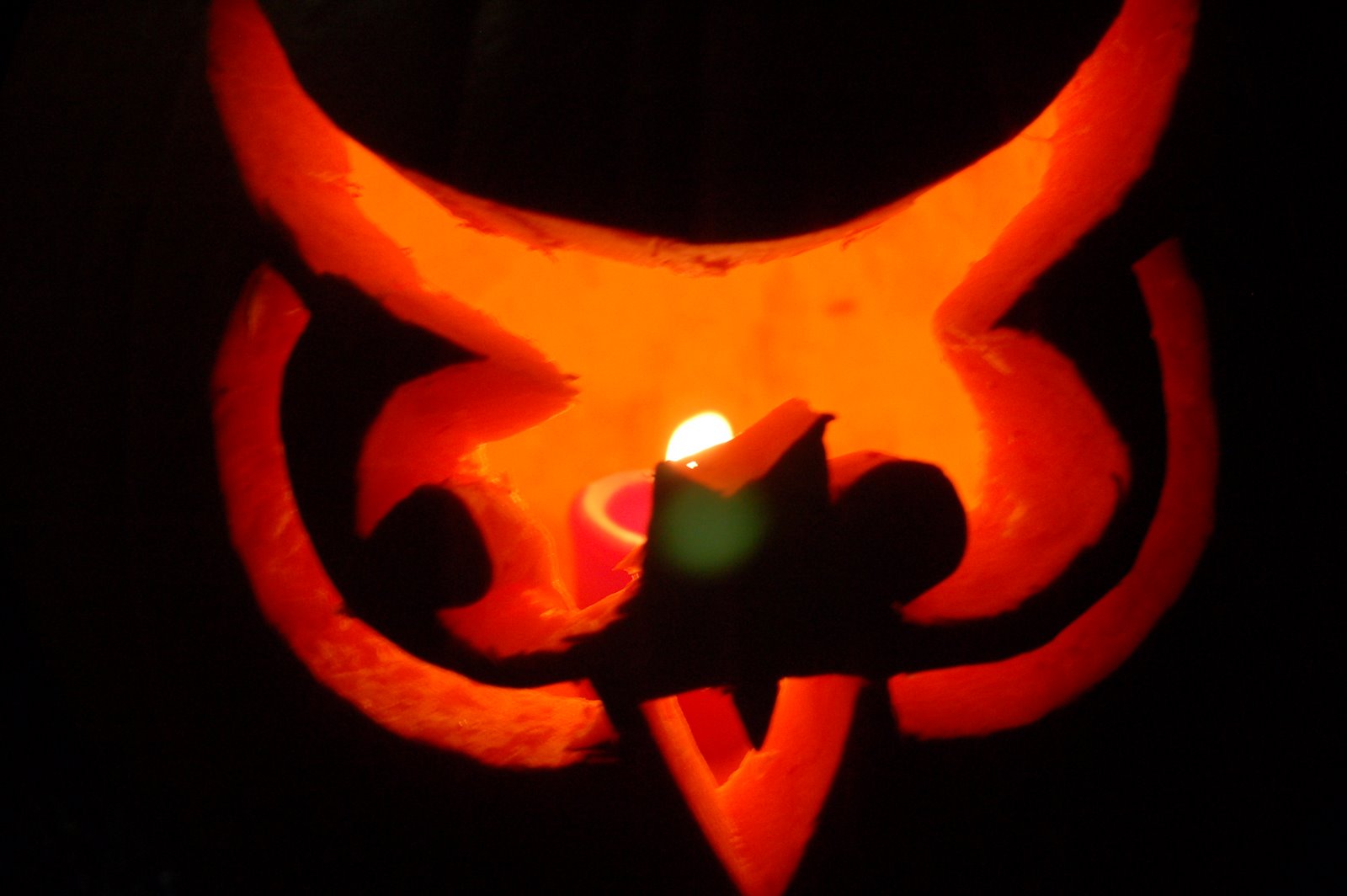 The owl pumpkin