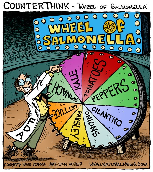 [wheel-of-salmonella_600.jpg]