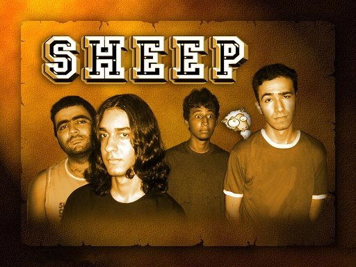 [8+SHEEP.jpg]