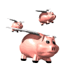 THE FLYING PIGS