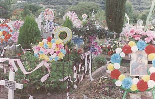 [Mexican+cemetery.jpg]