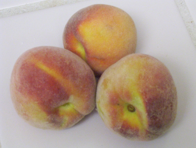 [peaches.JPG]