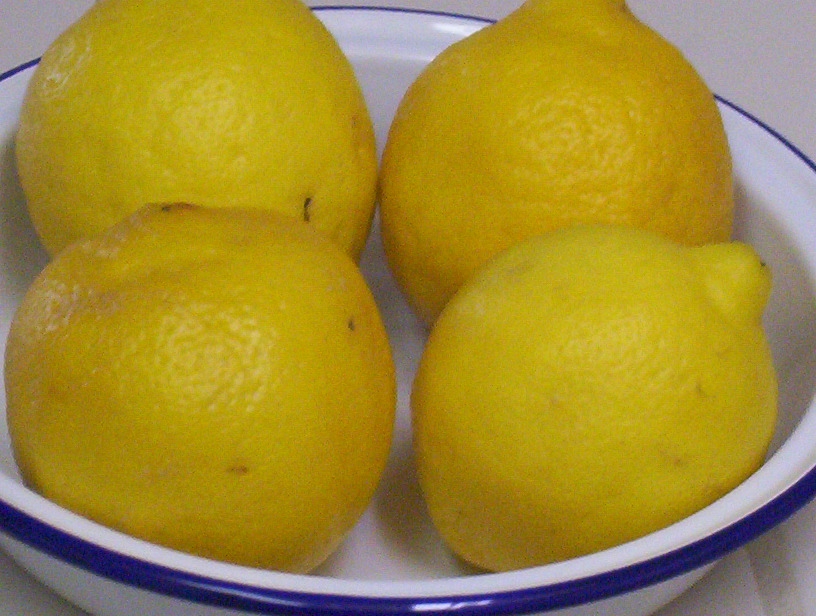 [lemons.JPG]