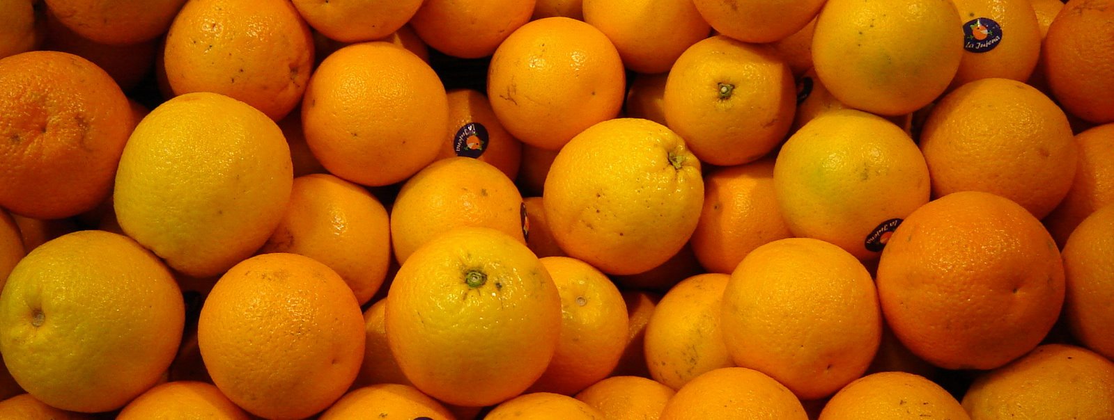 [1+naranjas.jpg]