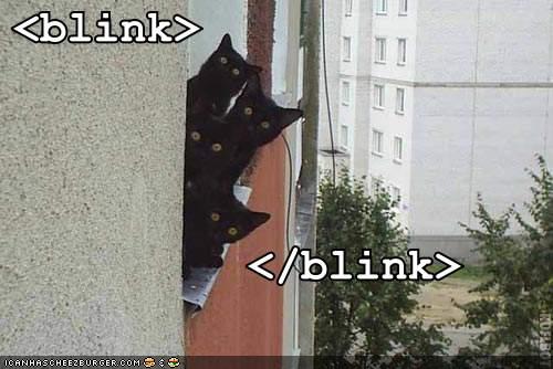 [lolcats-funny-pictures-blink.jpg]