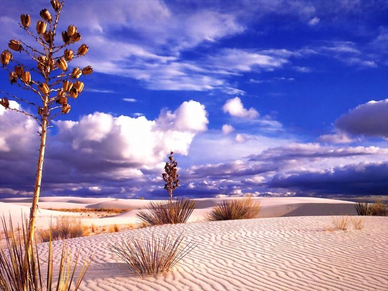 [desert-landscape-wallpaper.jpg]