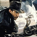 Indiana Jones and the Raiders of the Lost Ark movie
