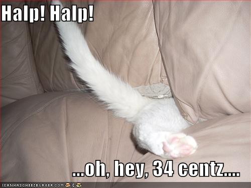 [funny-pictures-white-cat-couch-crack-change.jpg]