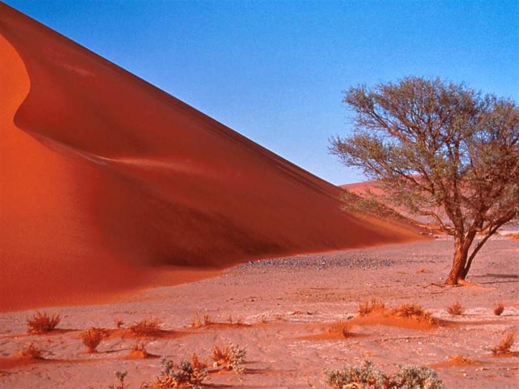 [2007021403193620_Sand Dunes, Central Africa - 800x600 - ID 3099.jpg]