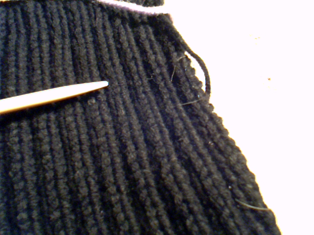[Penalties+of+knitting+with+black+and+Buster.jpg]