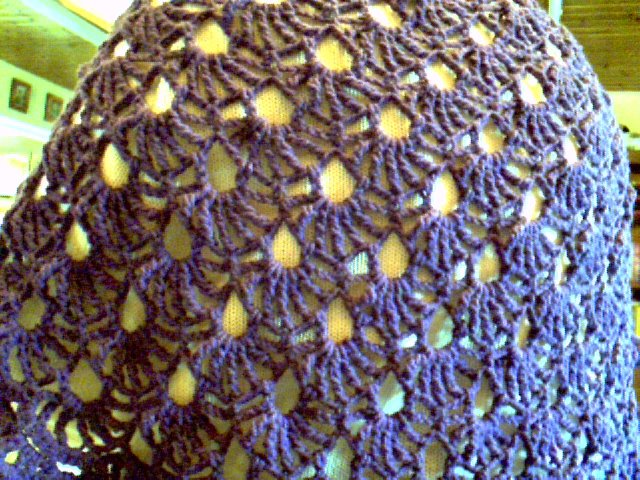 [Purple+sweet+pea+shawl.jpg]