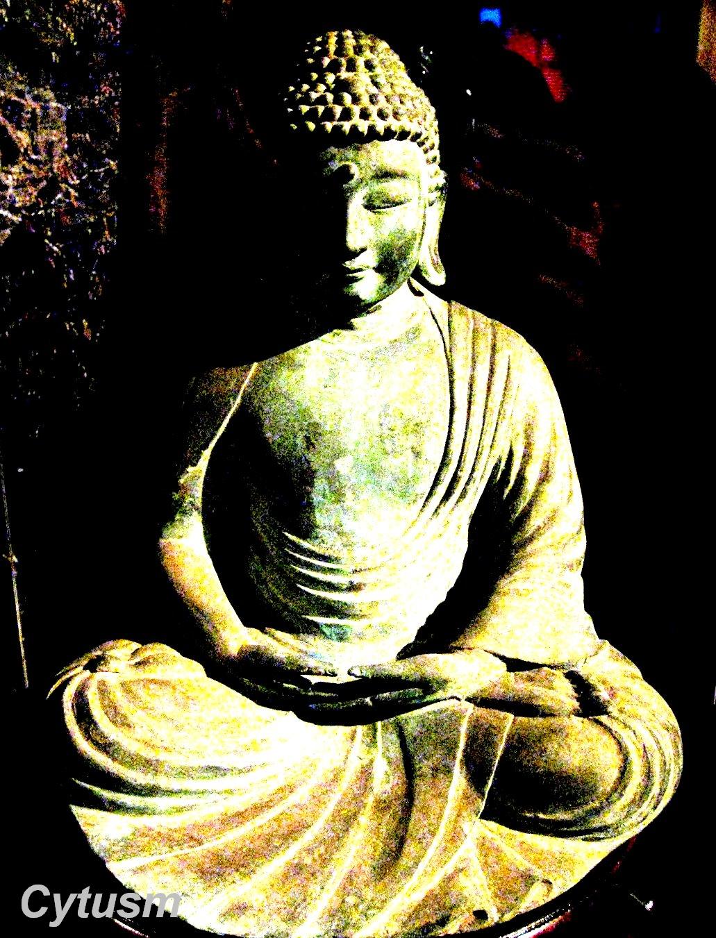 [Buddha2.jpg]