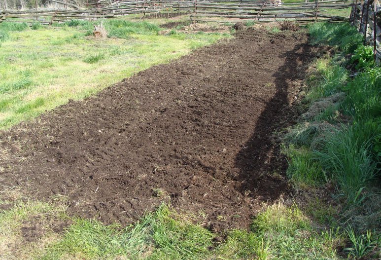 New vegetable plot, 12 May 2008