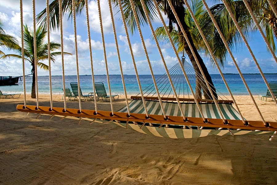 [beach+hammock.jpg]